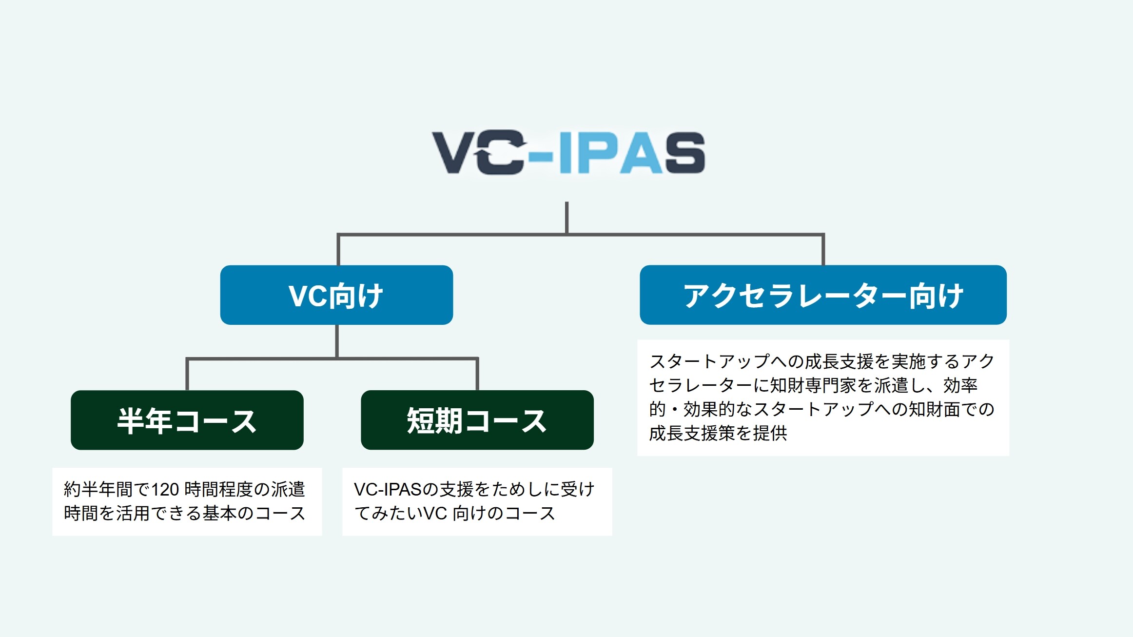 vc-ipas06-new2.jpg