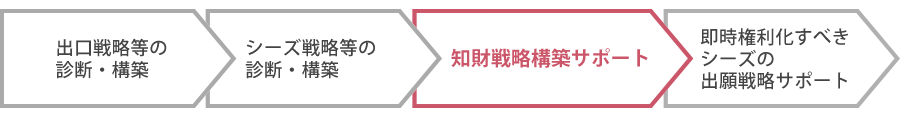 知財戦略構築サポート
