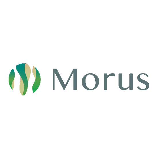 Morus株式会社