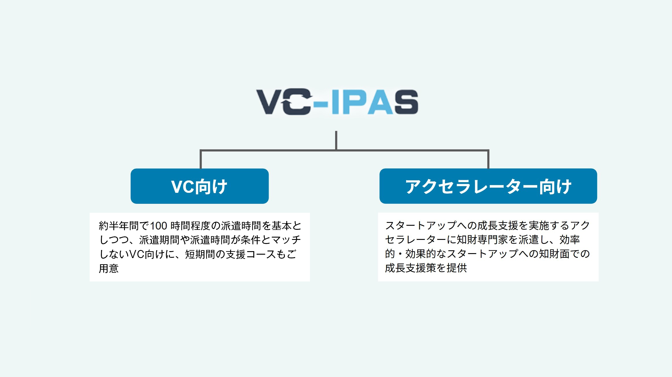 vc-ipas06-new6.png