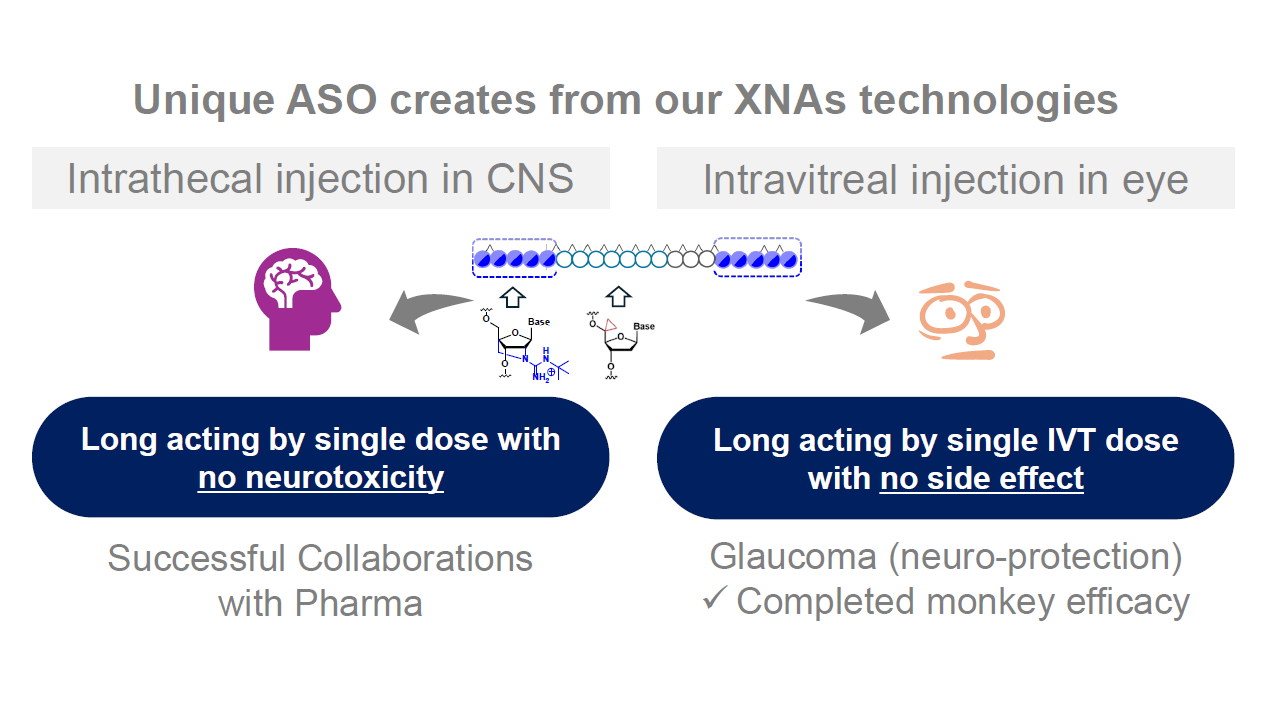ルクサナバイオテク株式会社 イメージ